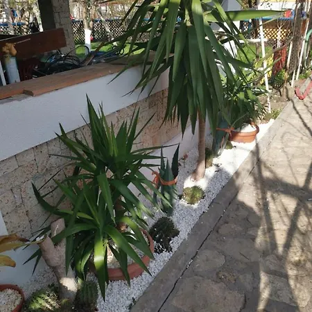 En 3*