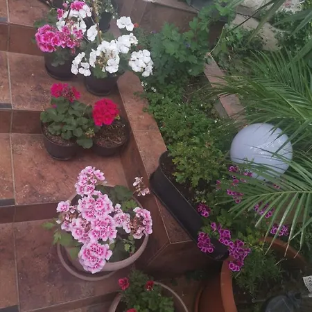 Affittacamere En Mangalia