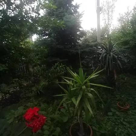 Гостевой дом En