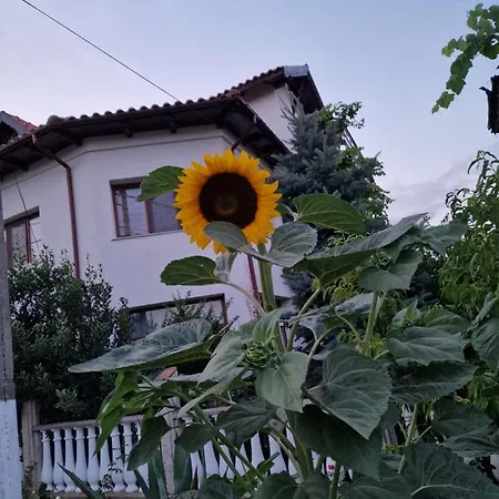 Гостевой дом En 3*