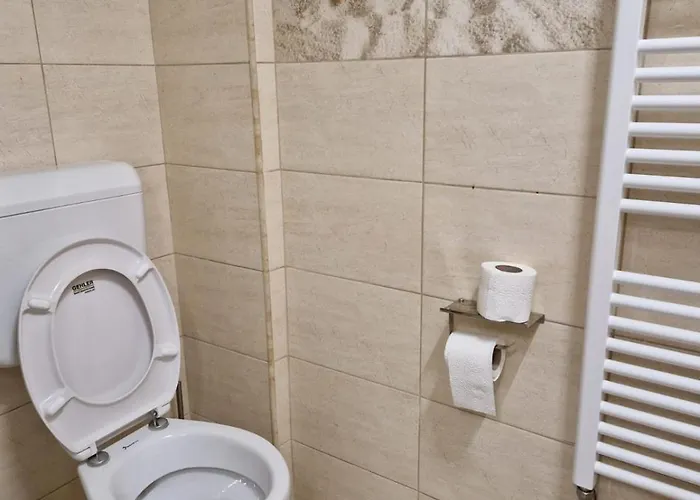 Guest house En Mangalia